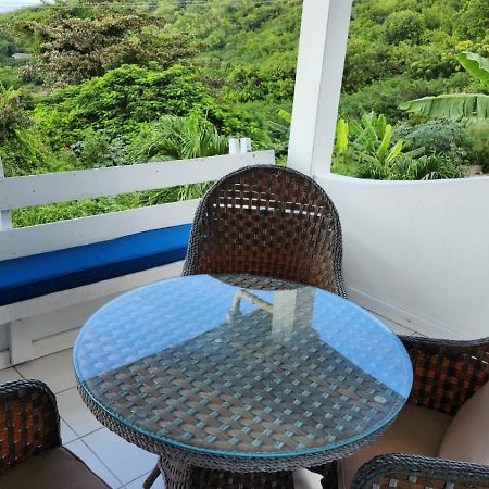 Halcyon Heights Condominium Dickenson Bay Εξωτερικό φωτογραφία