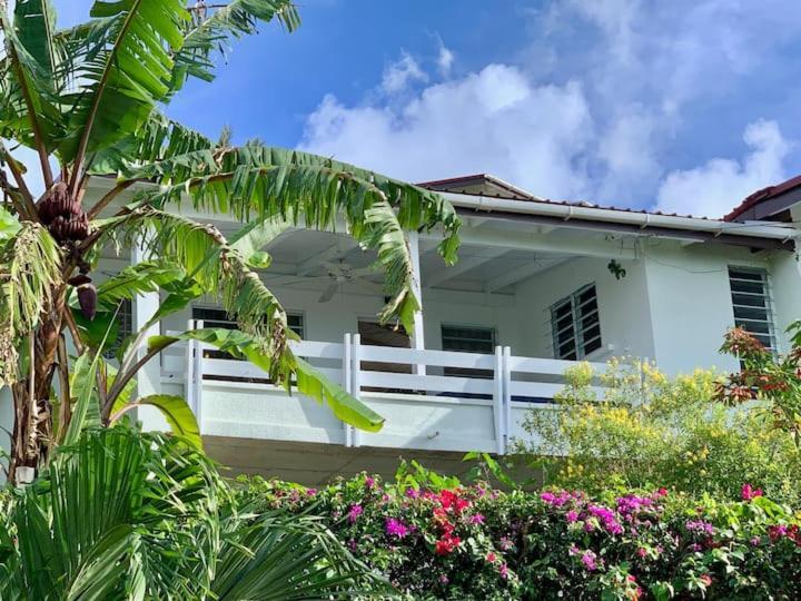 Halcyon Heights Condominium Dickenson Bay Εξωτερικό φωτογραφία