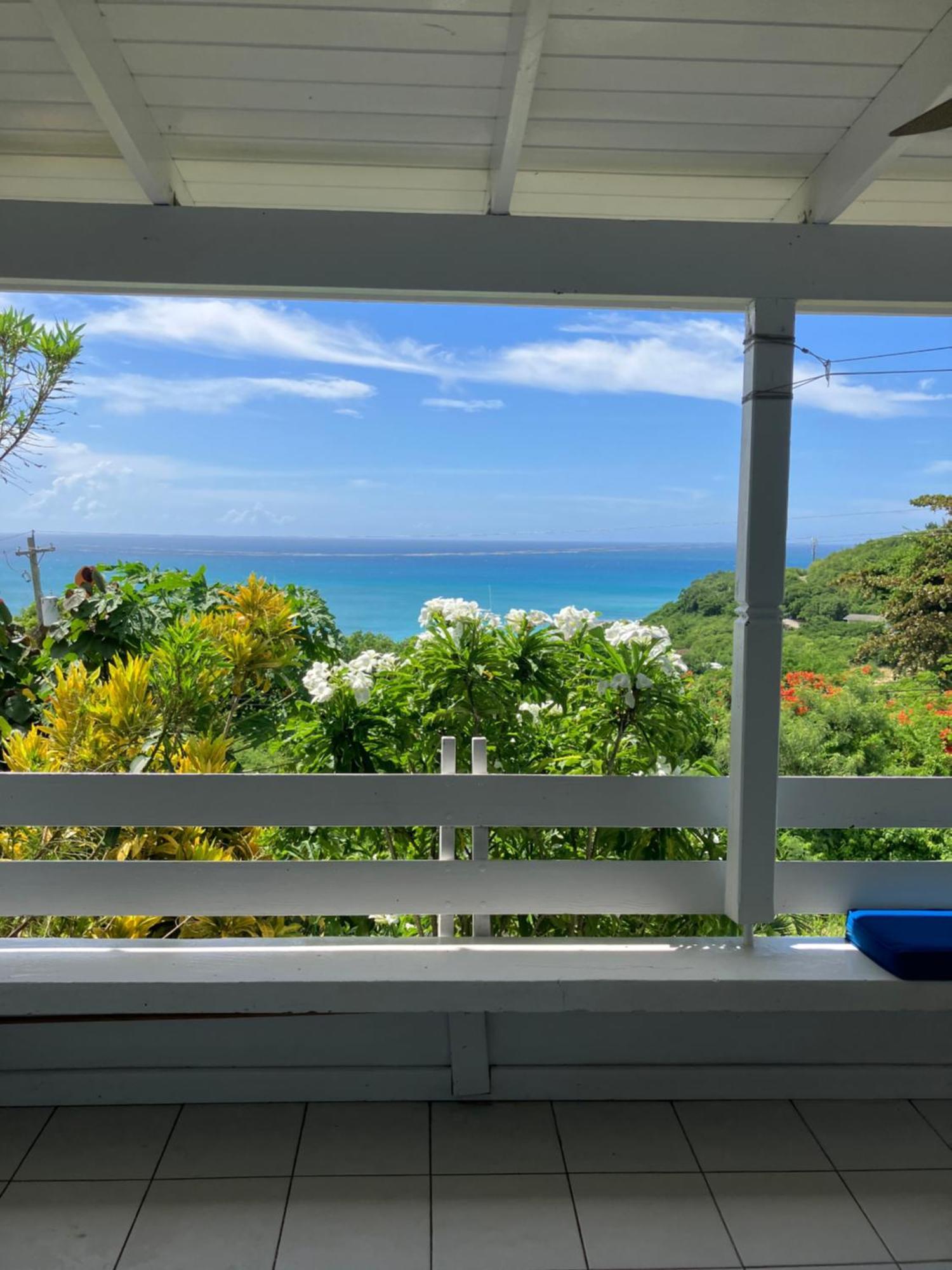 Halcyon Heights Condominium Dickenson Bay Εξωτερικό φωτογραφία